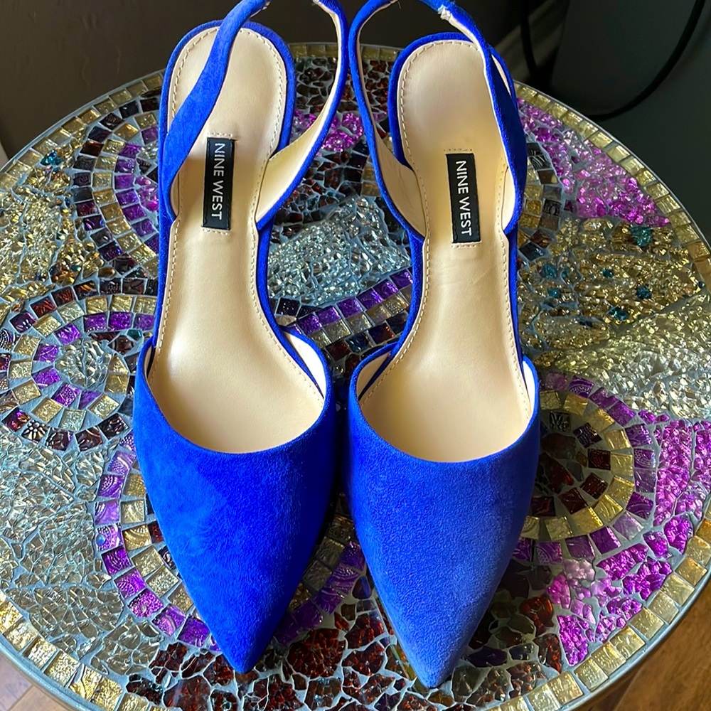 NWOT Meredith Pointy Toe Slingbacks
